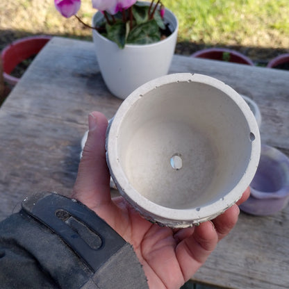 Mixed, hand-made succulent planters x 5